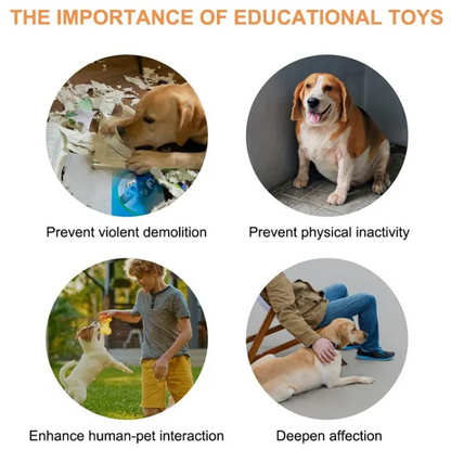 Educational toy images showing a dog on a messy floor, a relaxed dog, a child playing with a puppy, and a pet close to a person.